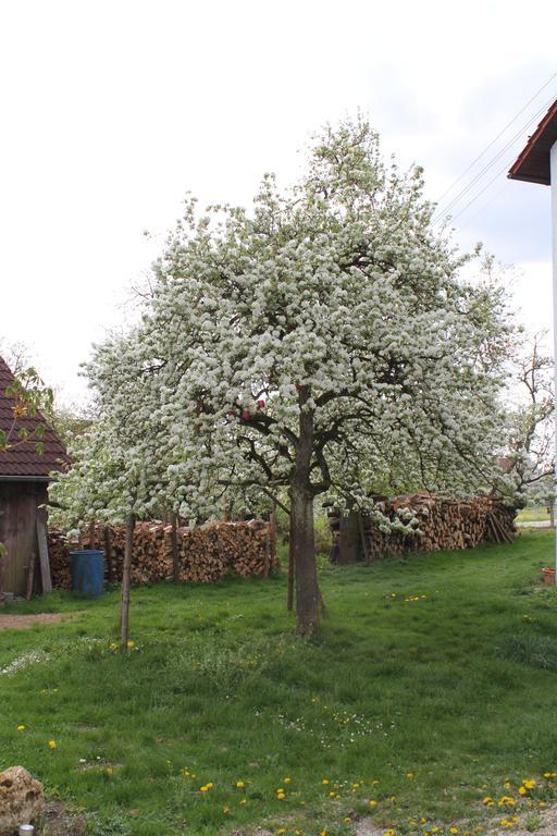 Landgasthof Weberhans Harburg  Exterior foto